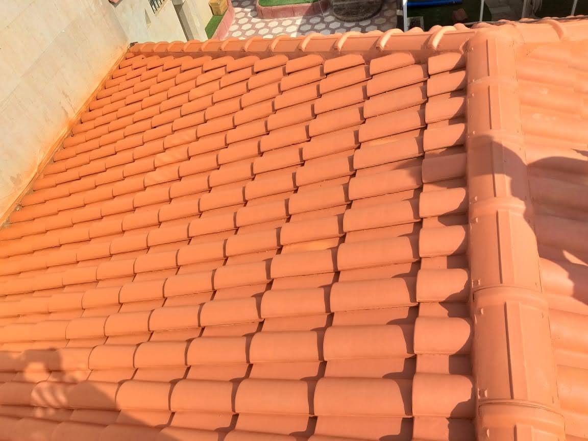 IMG-20210110-WA0029 (1)